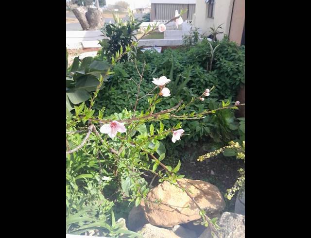 4 BEDROOM HOUSE FOR SALE IN BERGSIG